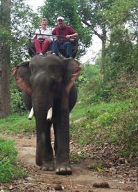 Elephant ride